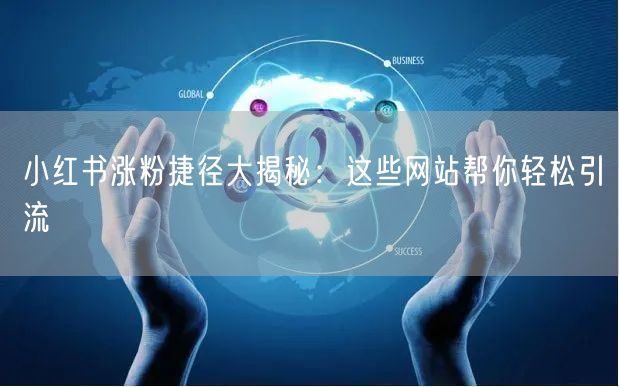 小红书涨粉捷径大揭秘：这些网站帮你轻松引流
