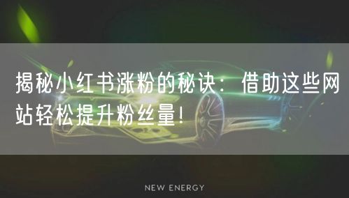 揭秘小红书涨粉的秘诀：借助这些网站轻松提升粉丝量！