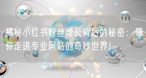 揭秘小红书粉丝增长背后的秘密：带你走进专业网站的奇妙世界！