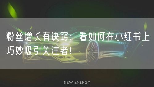 粉丝增长有诀窍：看如何在小红书上巧妙吸引关注者！