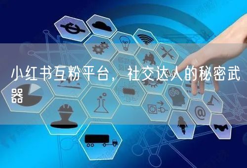 小红书互粉平台，社交达人的秘密武器