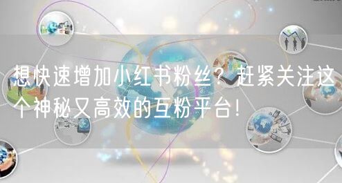 想快速增加小红书粉丝？赶紧关注这个神秘又高效的互粉平台！