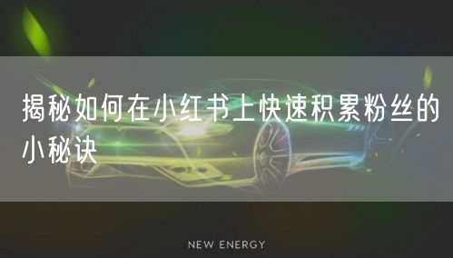 揭秘如何在小红书上快速积累粉丝的小秘诀