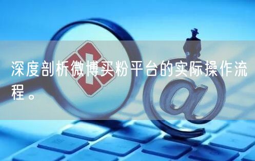 深度剖析微博买粉平台的实际操作流程。