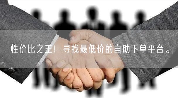 性价比之王！寻找最低价的自助下单平台。