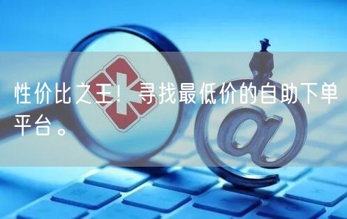 性价比之王！寻找最低价的自助下单平台。