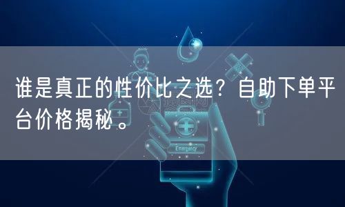 谁是真正的性价比之选？自助下单平台价格揭秘。
