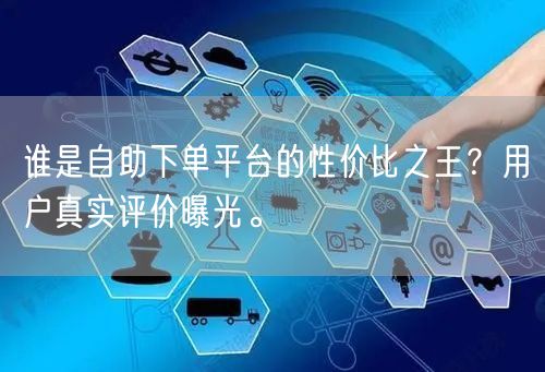 谁是自助下单平台的性价比之王？用户真实评价曝光。
