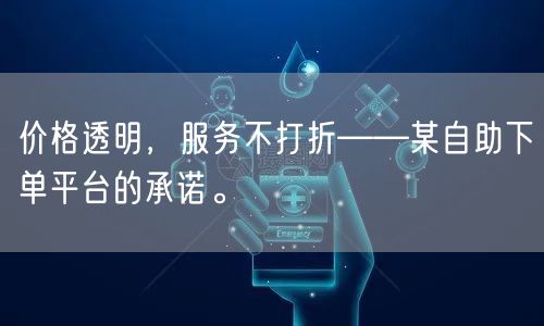 价格透明，服务不打折——某自助下单平台的承诺。