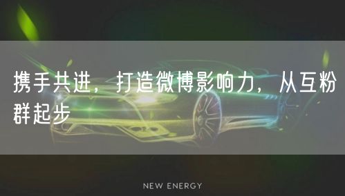 携手共进，打造微博影响力，从互粉群起步