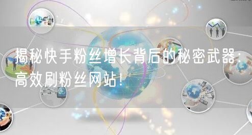揭秘快手粉丝增长背后的秘密武器：高效刷粉丝网站！