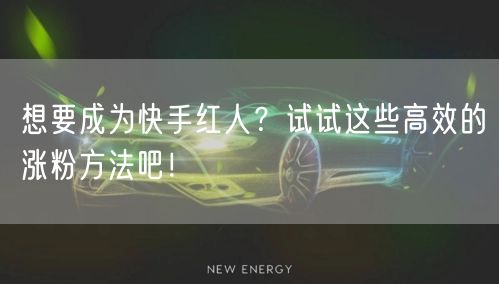 想要成为快手红人？试试这些高效的涨粉方法吧！