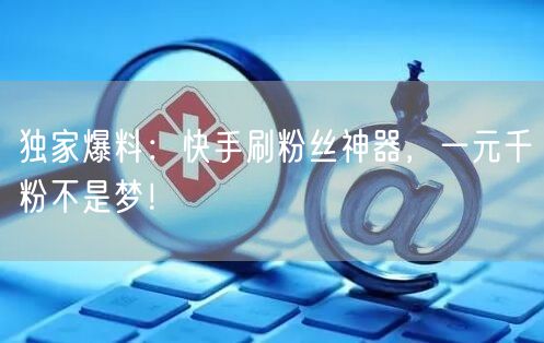 独家爆料：快手刷粉丝神器，一元千粉不是梦！