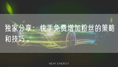 独家分享：快手免费增加粉丝的策略和技巧。