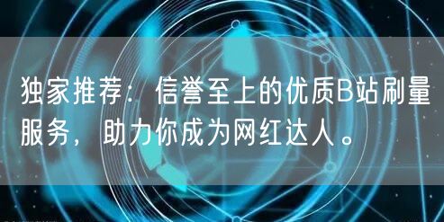 独家推荐：信誉至上的优质B站刷量服务，助力你成为网红达人。