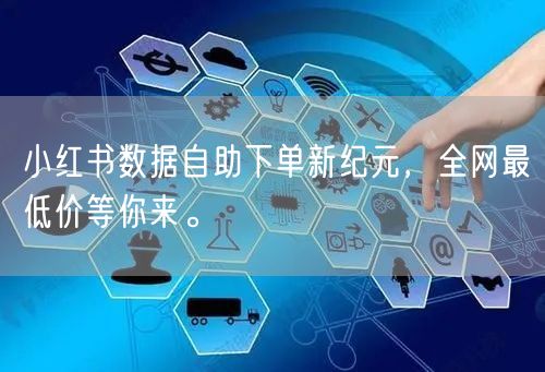 小红书数据自助下单新纪元，全网最低价等你来。