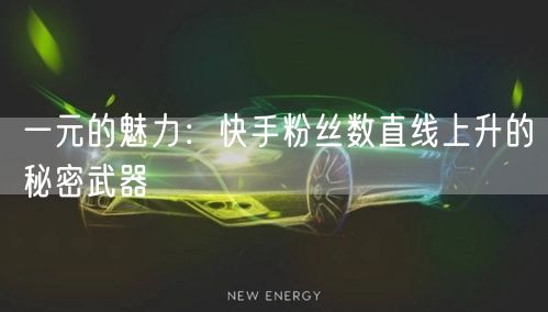 一元的魅力：快手粉丝数直线上升的秘密武器