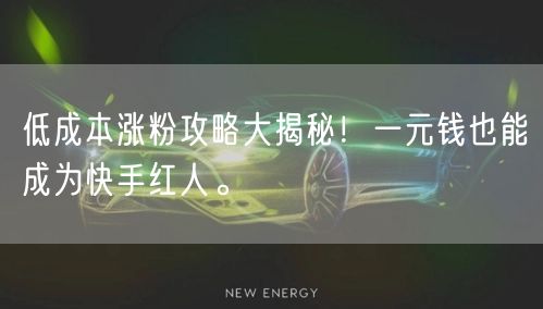 低成本涨粉攻略大揭秘！一元钱也能成为快手红人。