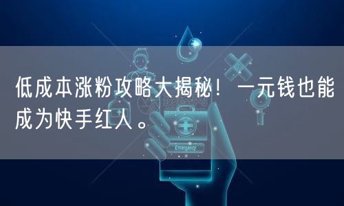 低成本涨粉攻略大揭秘！一元钱也能成为快手红人。