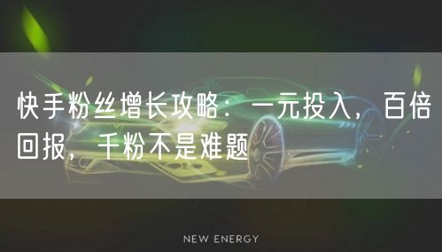 快手粉丝增长攻略：一元投入，百倍回报，千粉不是难题