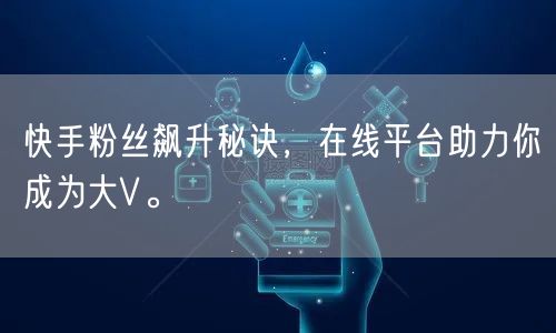 快手粉丝飙升秘诀，在线平台助力你成为大V。
