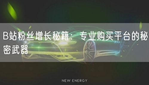 B站粉丝增长秘籍：专业购买平台的秘密武器