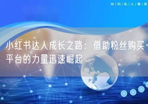 小红书达人成长之路：借助粉丝购买平台的力量迅速崛起