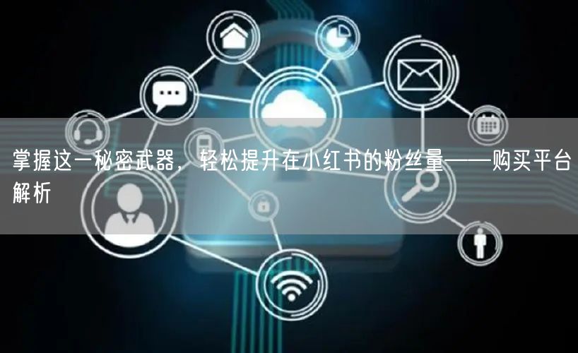 掌握这一秘密武器，轻松提升在小红书的粉丝量——购买平台解析