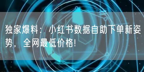 独家爆料：小红书数据自助下单新姿势，全网最低价格!