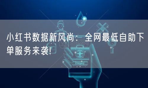 小红书数据新风尚：全网最低自助下单服务来袭!