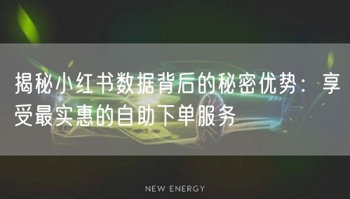 揭秘小红书数据背后的秘密优势：享受最实惠的自助下单服务