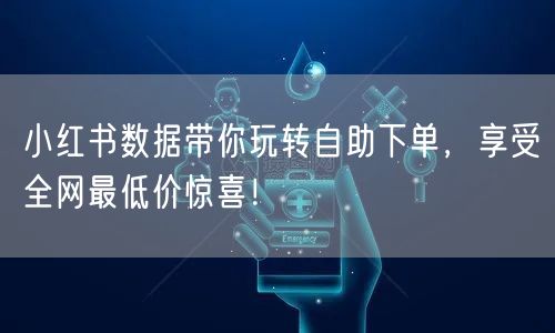 小红书数据带你玩转自助下单，享受全网最低价惊喜！