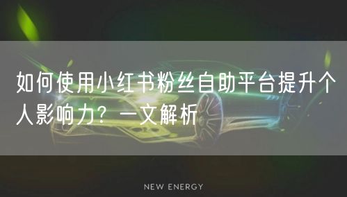如何使用小红书粉丝自助平台提升个人影响力？一文解析