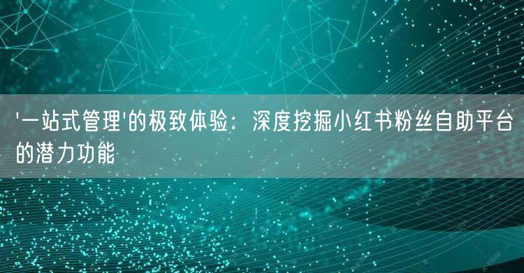 '一站式管理'的极致体验：深度挖掘小红书粉丝自助平台的潜力功能