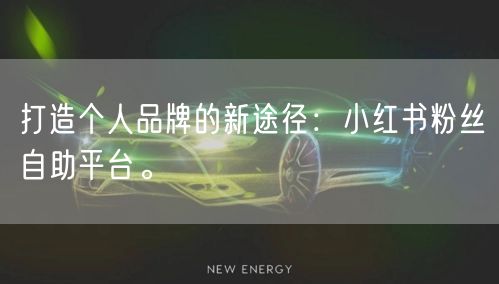 打造个人品牌的新途径：小红书粉丝自助平台。