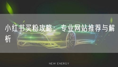 小红书买粉攻略：专业网站推荐与解析