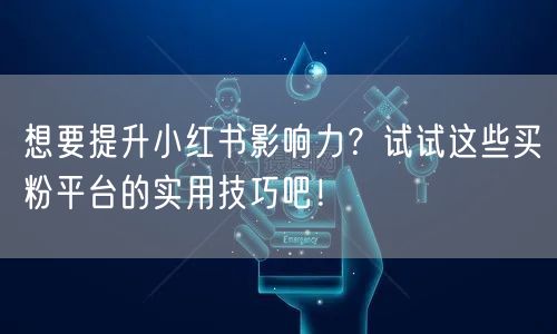 想要提升小红书影响力？试试这些买粉平台的实用技巧吧！