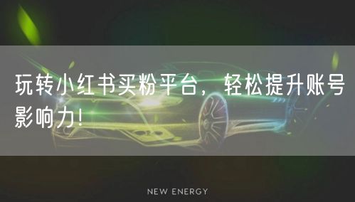 玩转小红书买粉平台，轻松提升账号影响力！