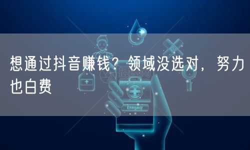 想通过抖音赚钱？领域没选对，努力也白费