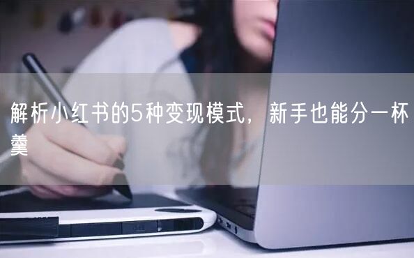 解析小红书的5种变现模式，新手也能分一杯羹