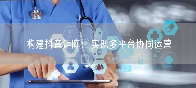 构建抖音矩阵：实现多平台协同运营