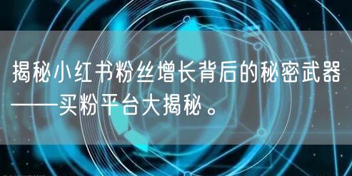 揭秘小红书粉丝增长背后的秘密武器——买粉平台大揭秘。