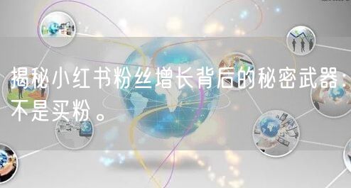 揭秘小红书粉丝增长背后的秘密武器：不是买粉。